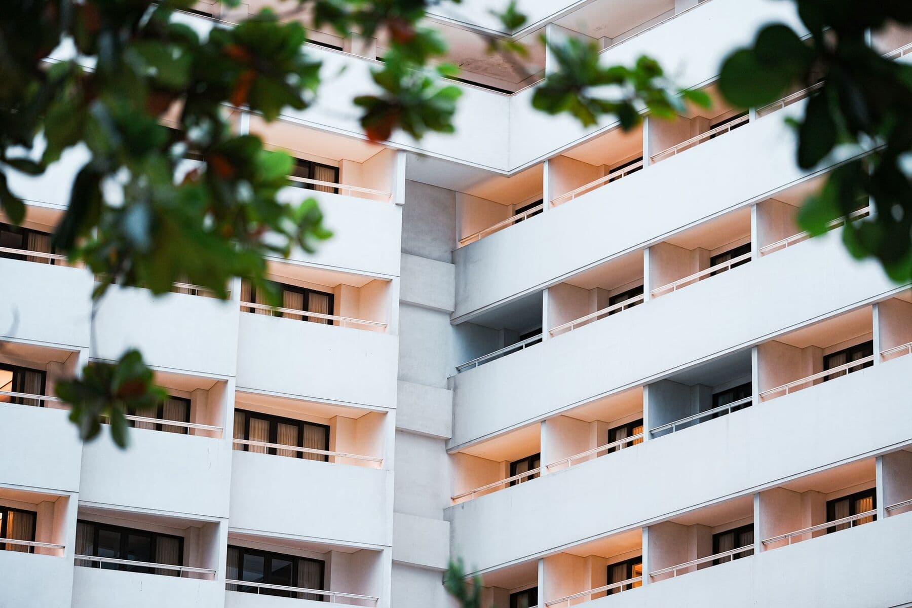The white, balconied front of a hotel seen through the leaves of a tropical tree.