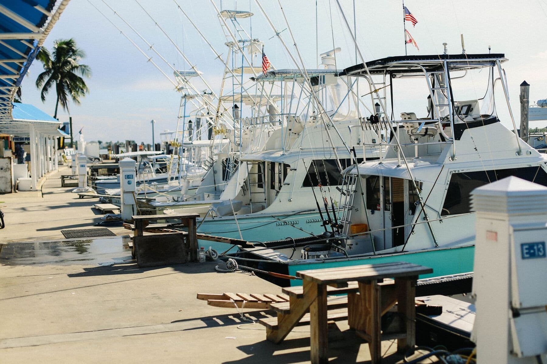 Sport-fishing boats tied up along a marina dock, with a palm tree and a blue awning in the background.